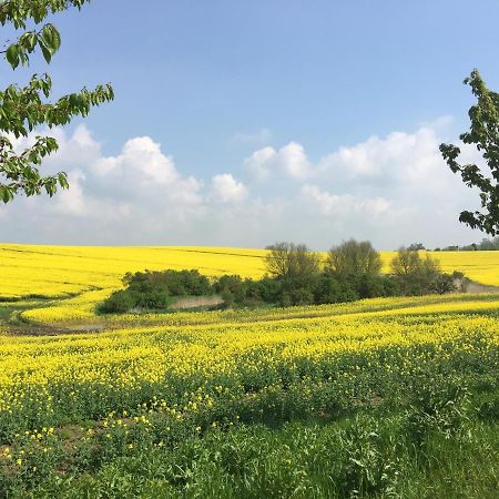 Rosalee Lägenhet Oberuckersee Exteriör bild